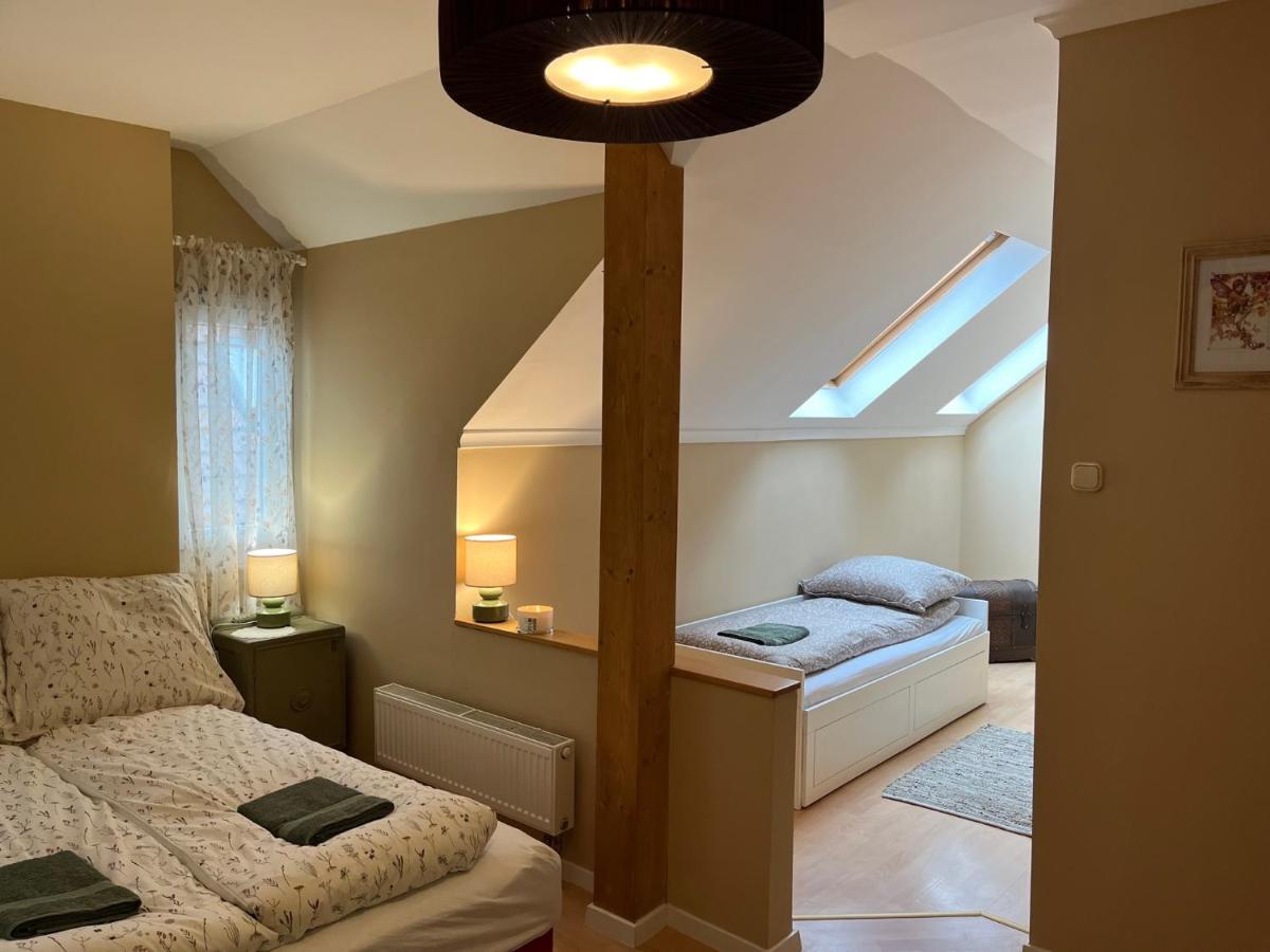 Tulipan Villa Panzio Szolnok Extérieur photo