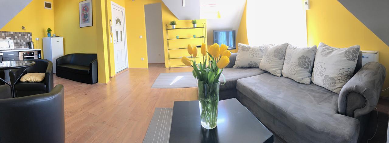 Tulipan Villa Panzio Szolnok Extérieur photo