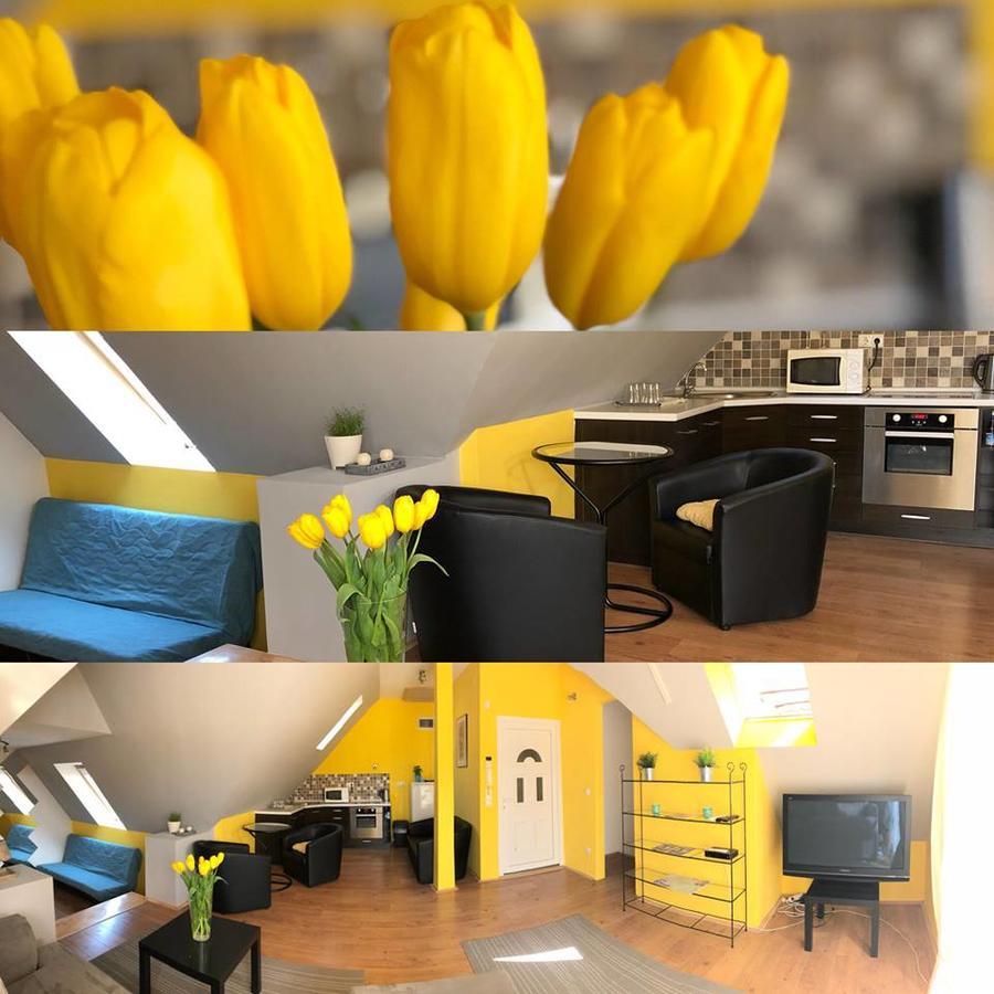 Tulipan Villa Panzio Szolnok Extérieur photo